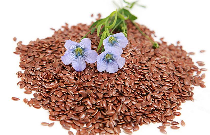 Dott Forloni Nutrizionista - Combattere la stitichezza: semi di lino